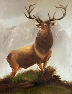 STAG IN THE HIGHLANDS OIL PAINTING