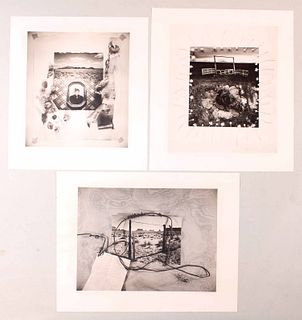 Meridel Rubenstein, Three Photographic Prints