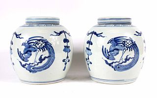 Pair of Chinese Blue and White Ginger Jars