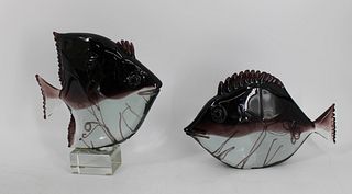 (2) N. Martinuzzi Signed Murano Glass Fish.