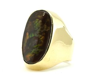 Men's 14K Yellow Gold & Fire Agate Ring