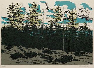 Neil Welliver, Am. 1929-2005, "Maine Landscape" 1976, Lithograph, framed under glass