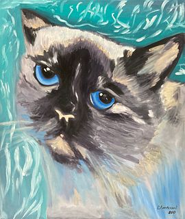 Yevgeniy Kievskiy (Southampton US) - Black Eye Cat