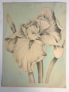 Pair of Antique Floral Prints: Amarylis & Iris, unsigned