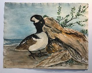 Duck Watercolor signed