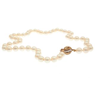 Cultured Pearl, 14k Necklace