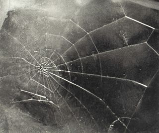 Vija Celmins, Spider Web, 2009