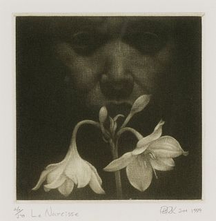 J. H. Park, Le Narcisse, 1999