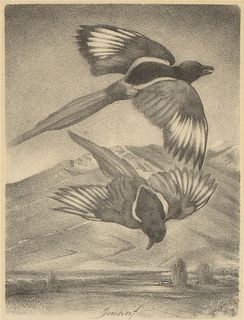 Joseph Imhof, Untitled (Two Magpies)