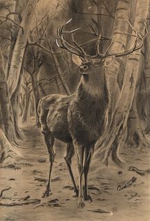 A. L. Grouch, Untitled (Elk)