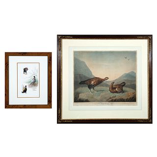 Group of Two Ornithological Works on Paper