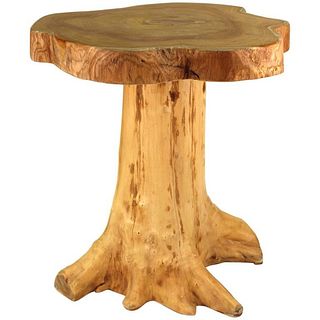 Modern Wood Tree Trunk Side Table
