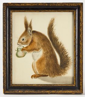 Watercolor of a Squirrel