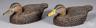 Pair of William H. Cranmer black duck decoys