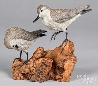 Two Carl R. Becker sanderling shorebird decoys