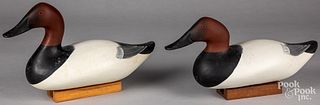 Two Patrick Vincenti canvasback duck decoys