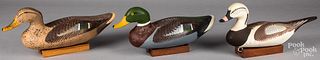 Three Harry Jobes carved and painted duck decoys