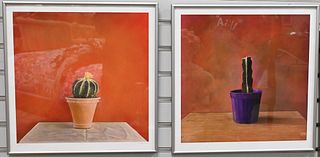 Kate Breakey (b. 1957), set of 10 lithographs in color, each pencil signed lower right Kate Breakey, in contemporary frames, from Cactus Breakey portf