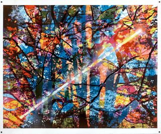 CALEB CHARLAND '04, Sunrise Through the Trees Over My House, Autumn (Color Separation with Three Black and White Negatives)