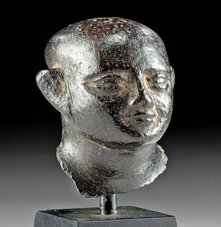 Egyptian Middle Kingdom Granite Head - Priest / Scribe