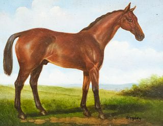 Shipley, Portrait of Bay Horse