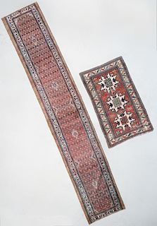 Lesghi and Camel Serab Rugs: 2'11" x 16'4" and 3'6" x 5'9"