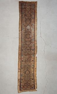 Antique Camel Field Serab Rug: 2'9" x 13'7" (84 x 414 cm)