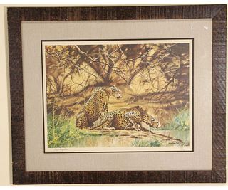 FRAMED PAUL AUGUSTINE TWO CHEETAHS SIGNED PRINT