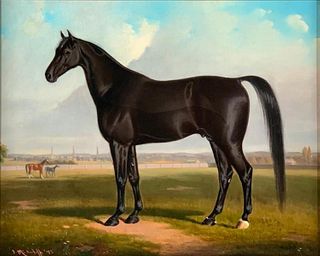 John McAuliffe Oil, Equine Portrait