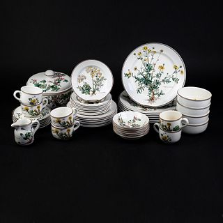 Villeroy & Boch 'Botanica' 46 Pc Dinnerware Set