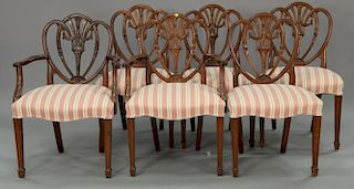Set of six Margolis mahogany Hepplewhite style shield back dining chairs two arm and four side (as is).