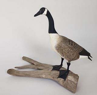 Fine Vintage Carved and Painted Canada Goose