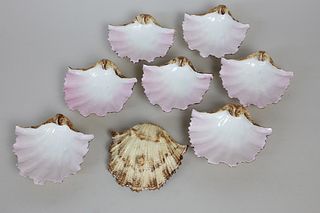 Set of Eight Antique French Porcelain Shell Form Scallop Dishes, 19th Century