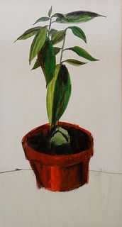 Roy Bailey Watercolor on Paper "Avocado Tree in a Clay Pot"