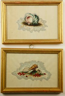 Two English Watercolor Studies of Seashells, 19th Century