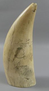 WHALE TOOTH - SCRIMSHAW NATIVE LADY