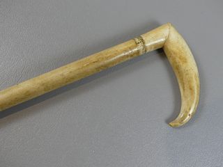 WHALE BONE CANE WITH TOOTH HANDLE 