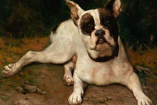 Portrait of Dog, Spanish school of the XIX - XX century