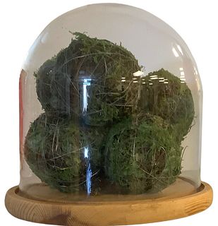 Six decorative moss covered balls under a glass dome with a wood base, 11"h.