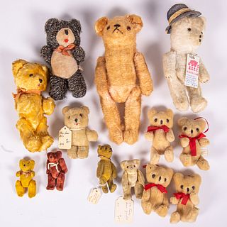 Thirteen Jointed Teddy Bears
