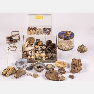 Mineral Specimens, Geodes and Shells