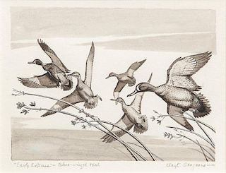 Clayton B. Seagears (1897-1983) Early Express - Blue-winged Teal