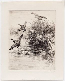 Roland H. Clark (1874-1957) Hawk and Ducks