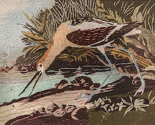 Needlepoint of Avocets