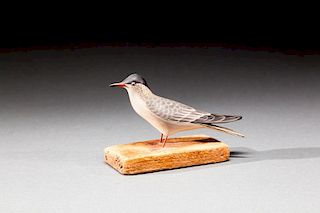 Miniature Wilson's Tern by A. Elmer Crowell (1862-1952)