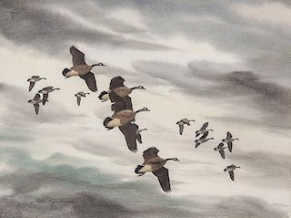 David Hagerbaumer (1921-2014) Canada Geese in Flight