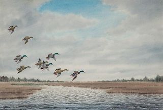 Joseph D. Knap (1875-1962) Mallards in Flight Over Marsh