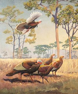 Francis Lee Jaques (1887-1969) Wild Turkey