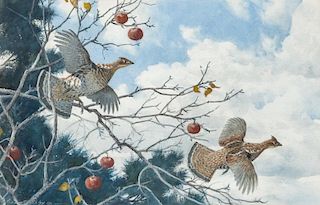 Aiden Lassell Ripley (1896-1969) Ruffed Grouse and Apples