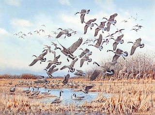 Owen Gromme (1896-1991) Horicon Marsh - Canada Geese